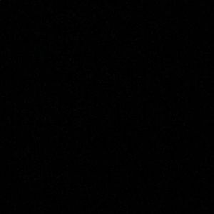 Meet your Posher, Sav